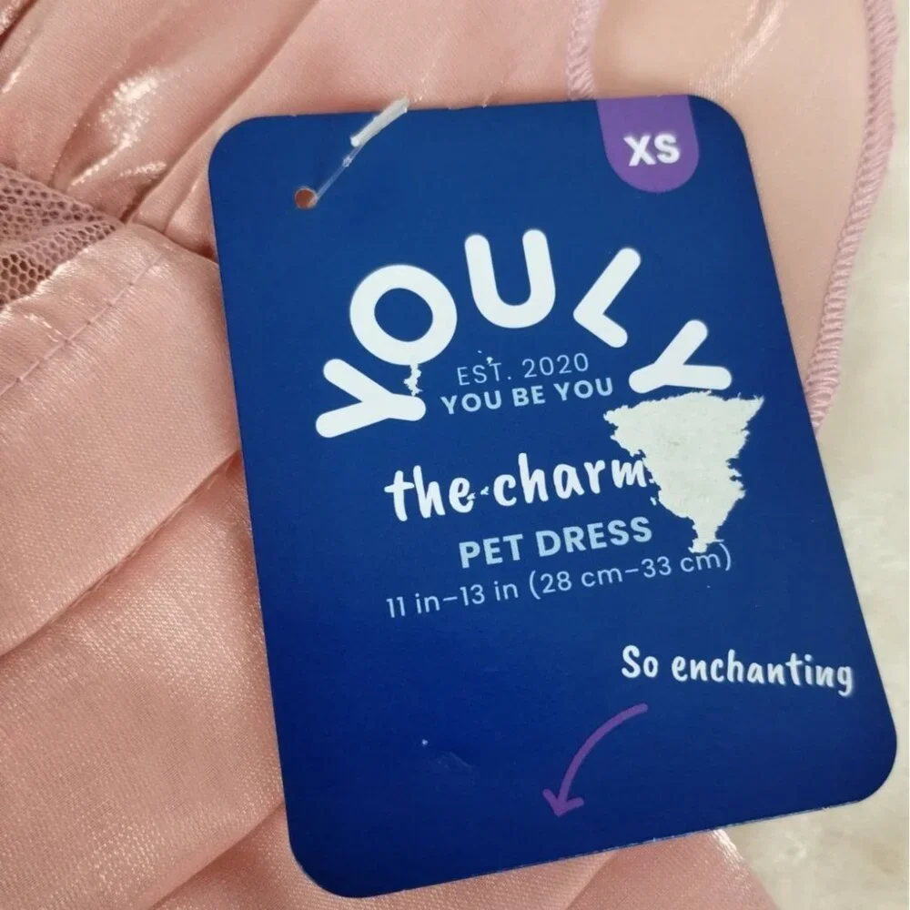 Youly Charmer Pink Ruffle Princess Dress with Lace Detail for Dogs XS 11 Inch